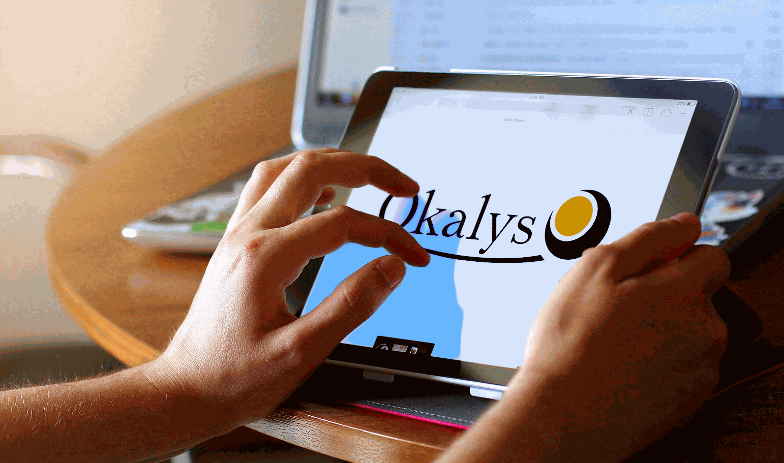 Solution interface Okalys